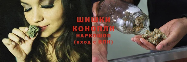 прущая мука Бородино