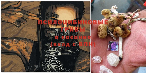 герыч Белокуриха