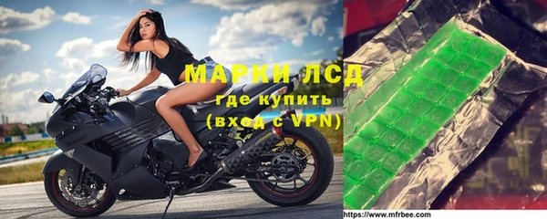 гашиш Богданович
